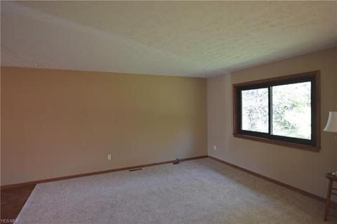 7880 Buffham Rd, Lodi, OH 44254 photo 7