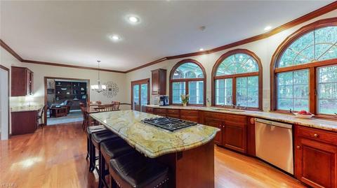 2038 E Highgate Ct, Hudson, OH 44236 photo 4