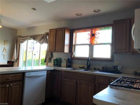 125 Mill Stream Cir, Elyria, OH 44035 photo 20