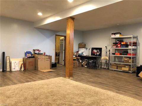 125 Mill Stream Cir, Elyria, OH 44035 photo 23