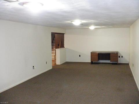 320 Starlight Dr, Seven Hills, OH 44131 photo 22