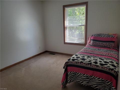 231 Root Rd, Lorain, OH 44052 photo 26
