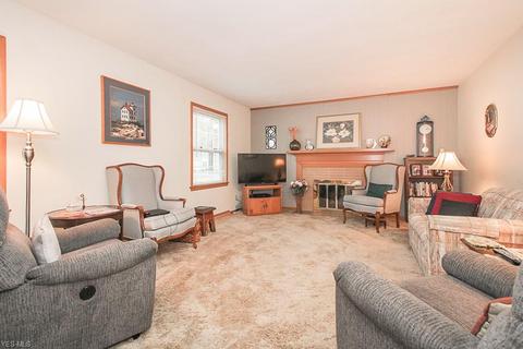 251 Vassar Ave, Elyria, OH 44035 photo 6