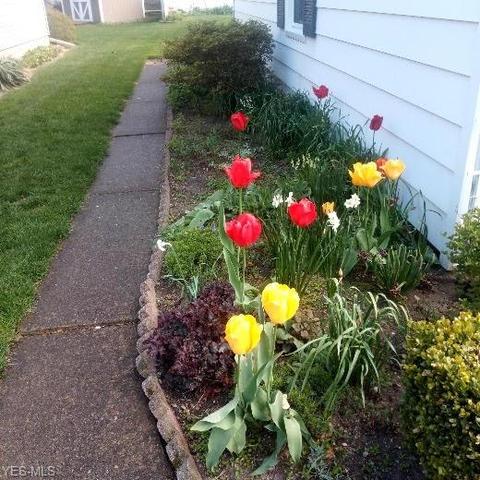 251 Vassar Ave, Elyria, OH 44035 photo 33