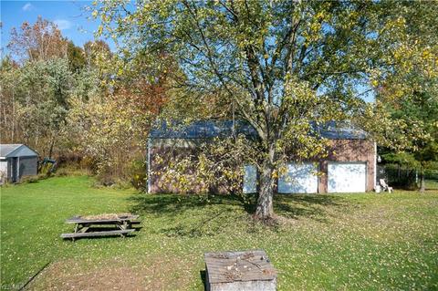 9663 Shanksdown Rd, Windham, OH 44288 photo 8