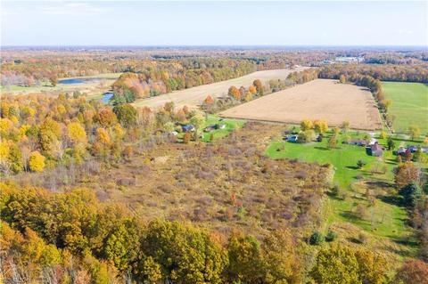 9663 Shanksdown Rd, Windham, OH 44288 photo 30