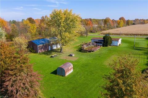9663 Shanksdown Rd, Windham, OH 44288 photo 32