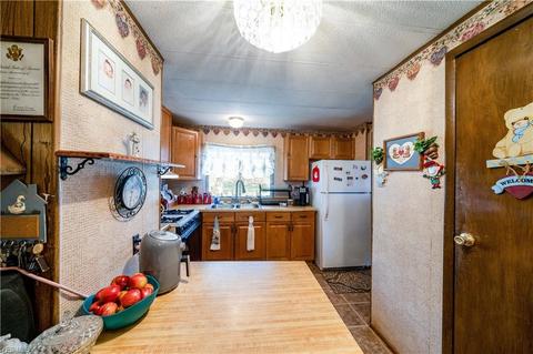 9663 Shanksdown Rd, Windham, OH 44288 photo 13