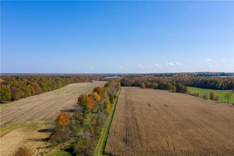 9663 Shanksdown Rd, Windham, OH 44288 photo 26
