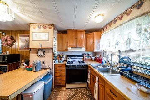 9663 Shanksdown Rd, Windham, OH 44288 photo 14