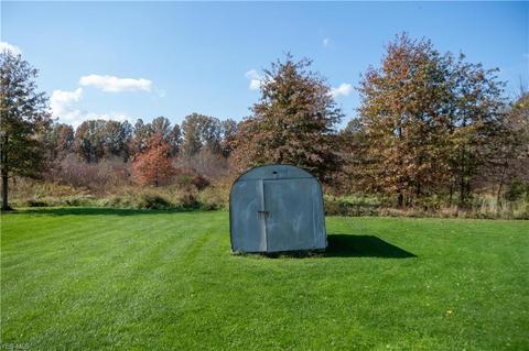 9663 Shanksdown Rd, Windham, OH 44288 photo 9
