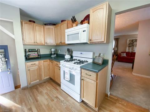509 Henry St, Elyria, OH 44035 photo 3