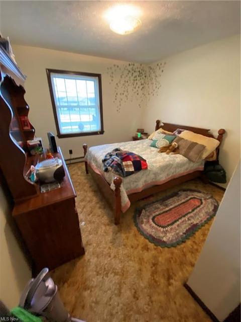 71 Hyde St, Wakeman, OH 44889 photo 22