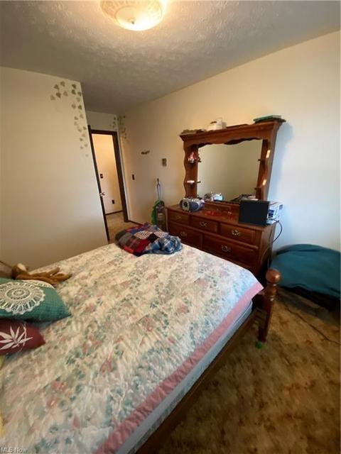 71 Hyde St, Wakeman, OH 44889 photo 23