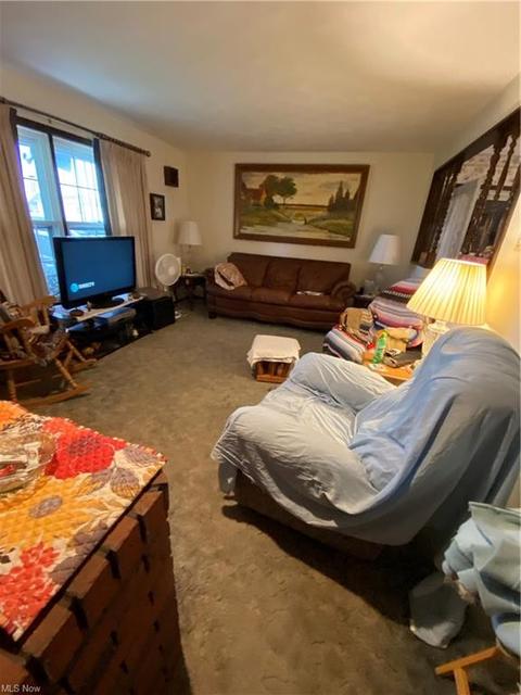 71 Hyde St, Wakeman, OH 44889 photo 6
