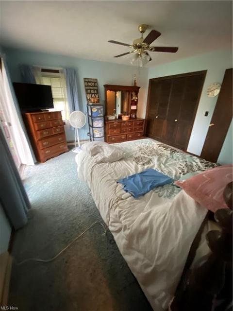 71 Hyde St, Wakeman, OH 44889 photo 18