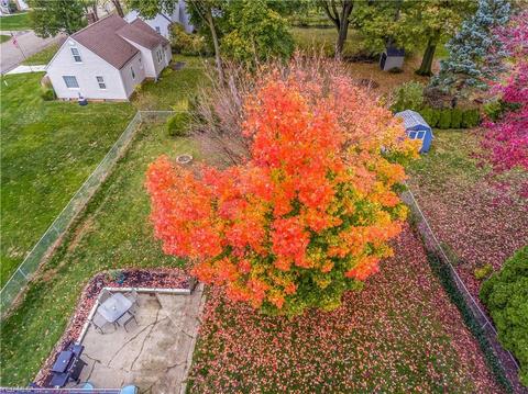 2609 Wertz Ave NW, Canton, OH 44708 photo 28