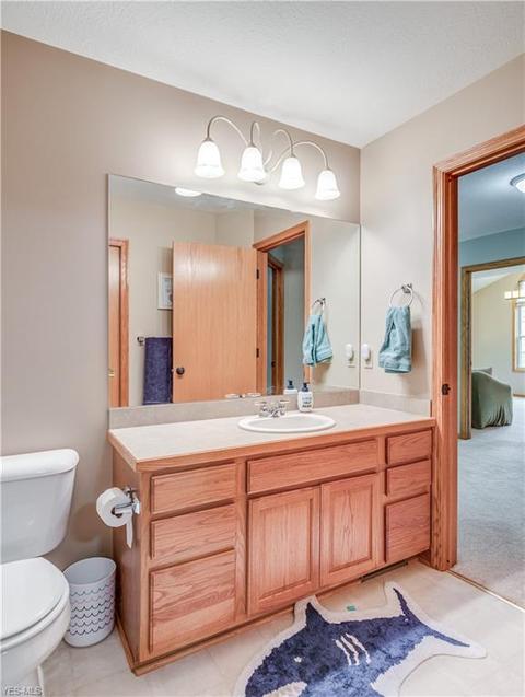 4202 Devonshire Ct, Copley, OH 44321 photo 24