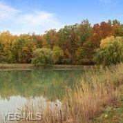 4530 Blush Ct, Lorain, OH 44053 photo 29
