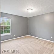 4530 Blush Ct, Lorain, OH 44053 photo 22