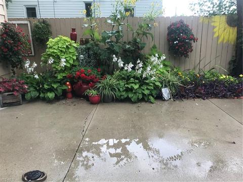 785 Abbe Rd, Elyria, OH 44035 photo 5
