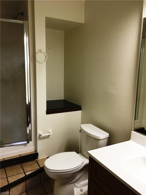 4231 Ivanhoe Dr, Lorain, OH 44053 photo 10