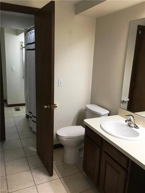 4231 Ivanhoe Dr, Lorain, OH 44053 photo 20