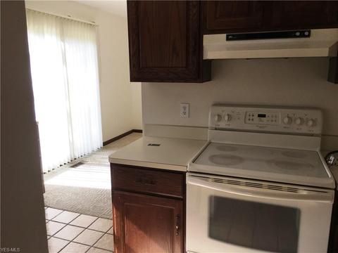 4231 Ivanhoe Dr, Lorain, OH 44053 photo 7