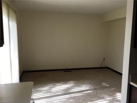4231 Ivanhoe Dr, Lorain, OH 44053 photo 8