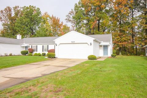 7207 Bellflower Rd, Mentor, OH 44060 photo 3