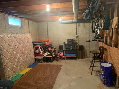 110 Union St, Lagrange, OH 44050 photo 20
