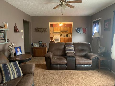 110 Union St, Lagrange, OH 44050 photo 5