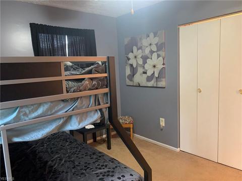 110 Union St, Lagrange, OH 44050 photo 10