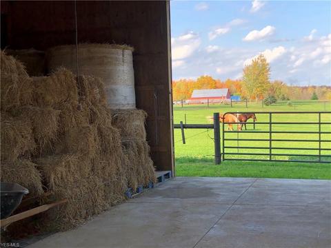 360 County Road 1183, Nova, OH 44859 photo 19