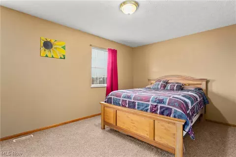 737 Bobcat Dr, Lagrange, OH 44050 photo 22