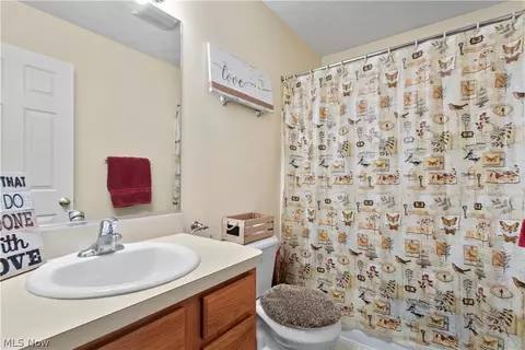 737 Bobcat Dr, Lagrange, OH 44050 photo 18
