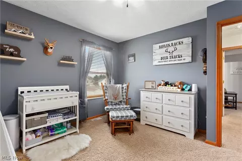 737 Bobcat Dr, Lagrange, OH 44050 photo 20