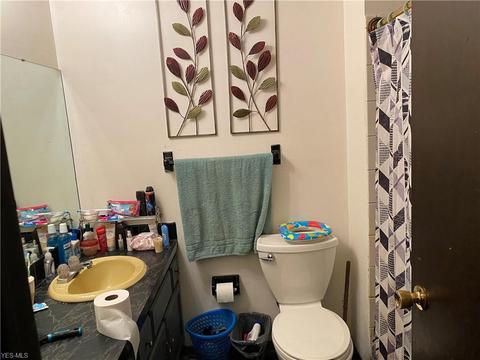 41491 Biggs Rd, Lagrange, OH 44050 photo 17