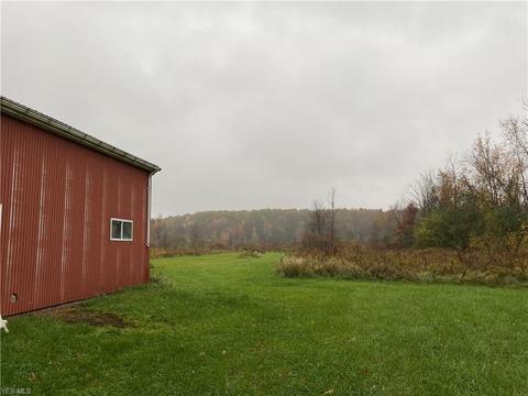 41491 Biggs Rd, Lagrange, OH 44050 photo 6