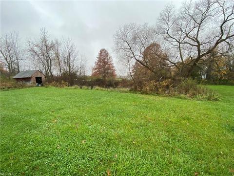 41491 Biggs Rd, Lagrange, OH 44050 photo 9