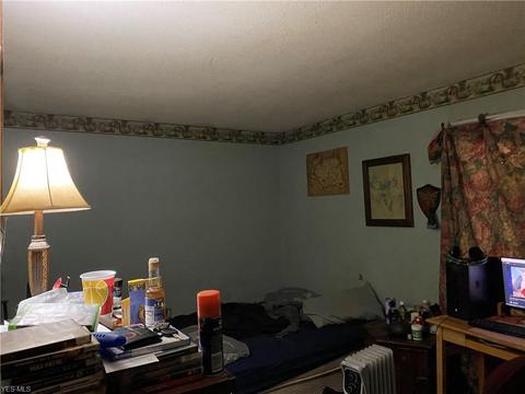 41491 Biggs Rd, Lagrange, OH 44050 photo 18