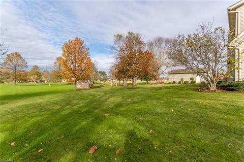 12000 Diagonal Rd, Lagrange, OH 44050 photo 8