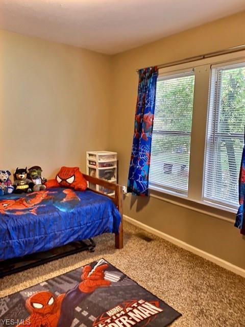 498 Edith Ave, Akron, OH 44312 photo 15