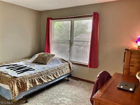498 Edith Ave, Akron, OH 44312 photo 14