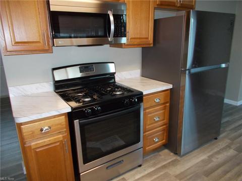 425 Longfellow St, Elyria, OH 44035 photo 23