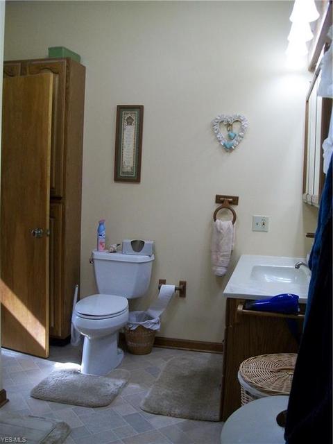 24 S River St, Wakeman, OH 44889 photo 10