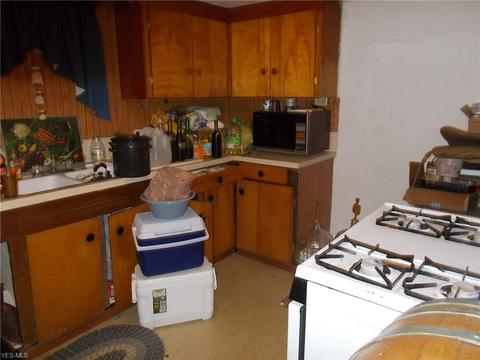 1101 Treelane Dr, Ashtabula, OH 44004 photo 16