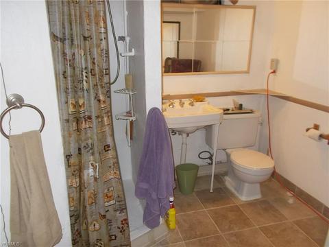 1101 Treelane Dr, Ashtabula, OH 44004 photo 19