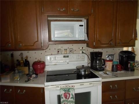 1101 Treelane Dr, Ashtabula, OH 44004 photo 7