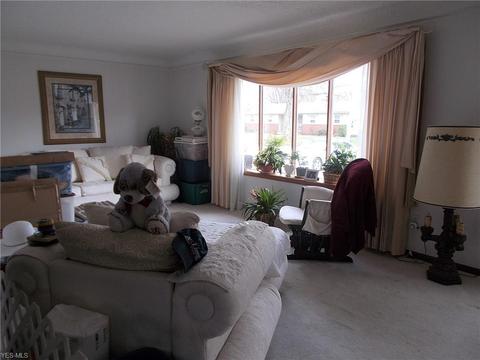 1101 Treelane Dr, Ashtabula, OH 44004 photo 2